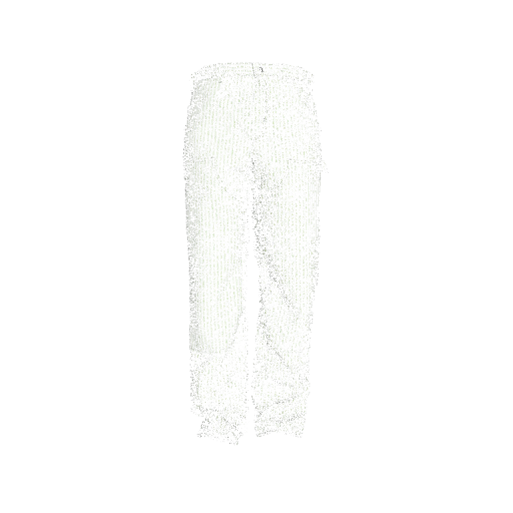 Invincible Boxy Carpenter Pant