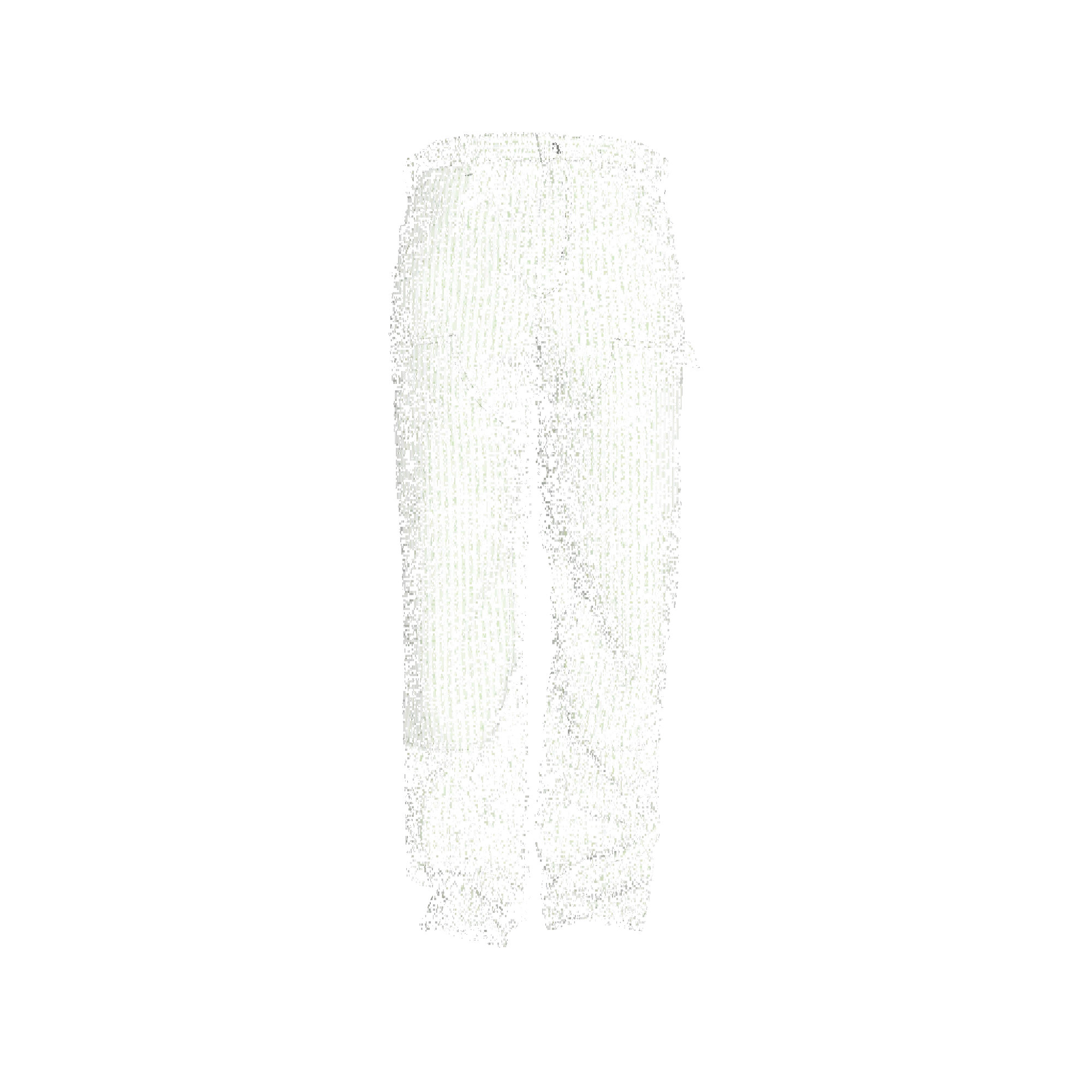 Invincible Boxy Carpenter Pant