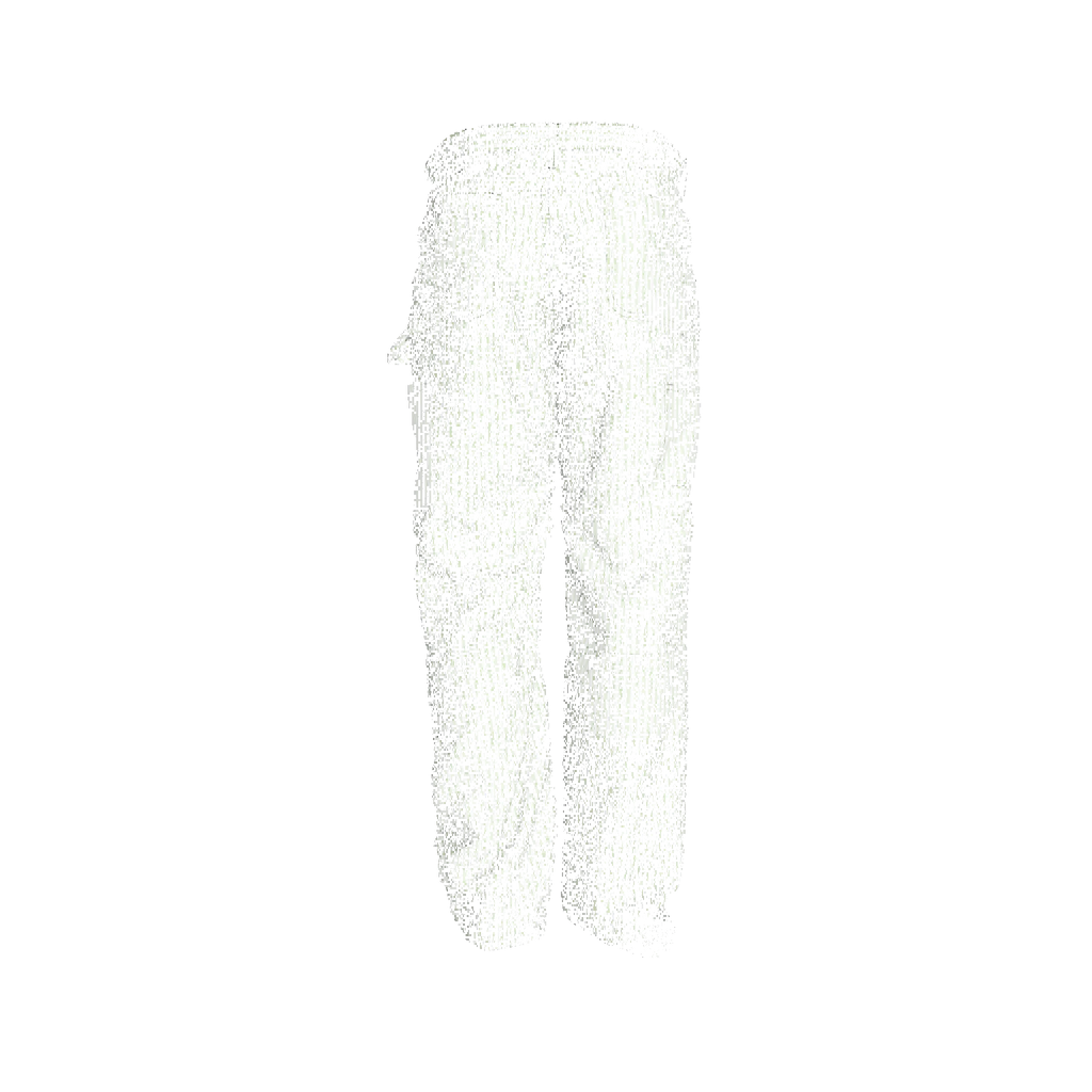Invincible Boxy Carpenter Pant