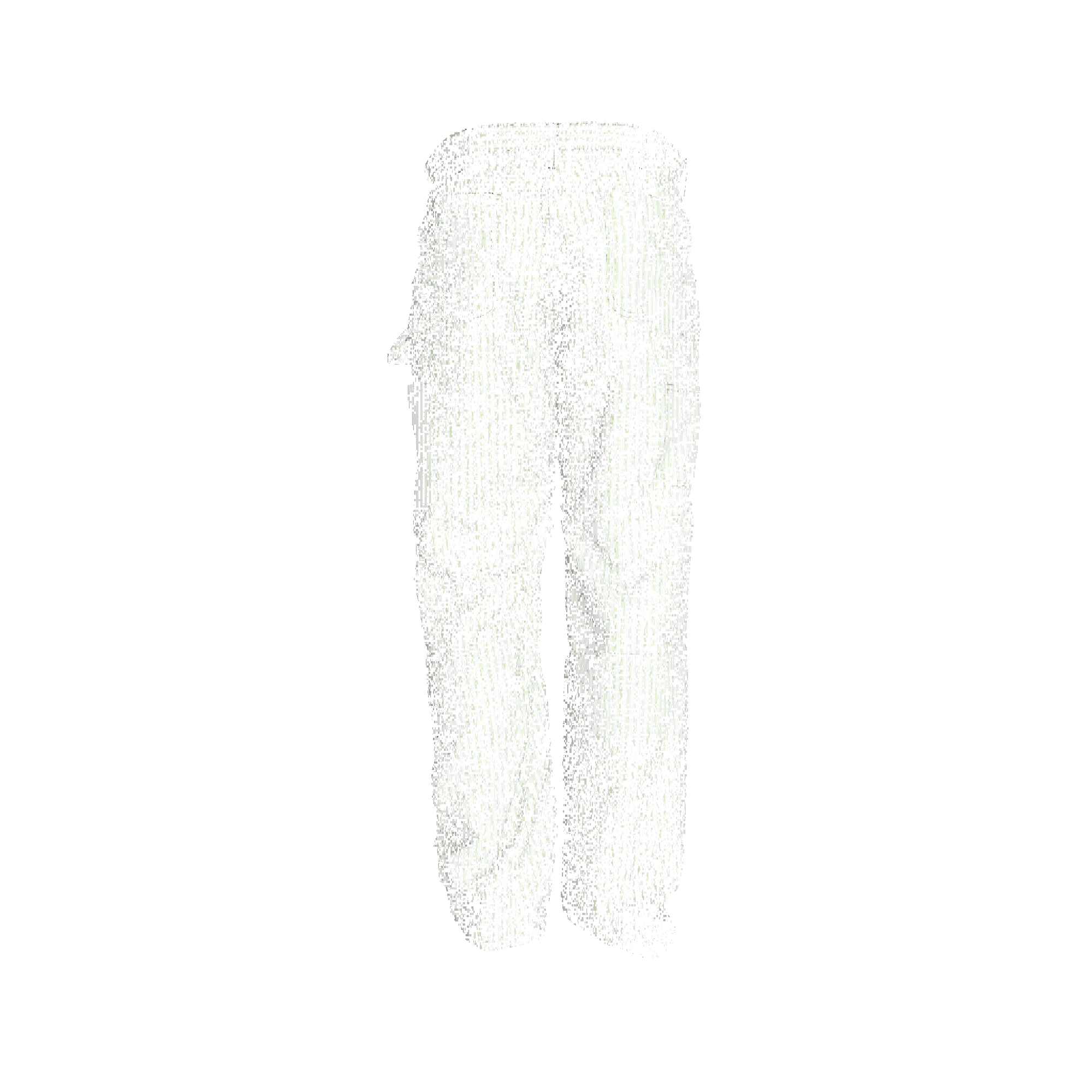 Invincible Boxy Carpenter Pant