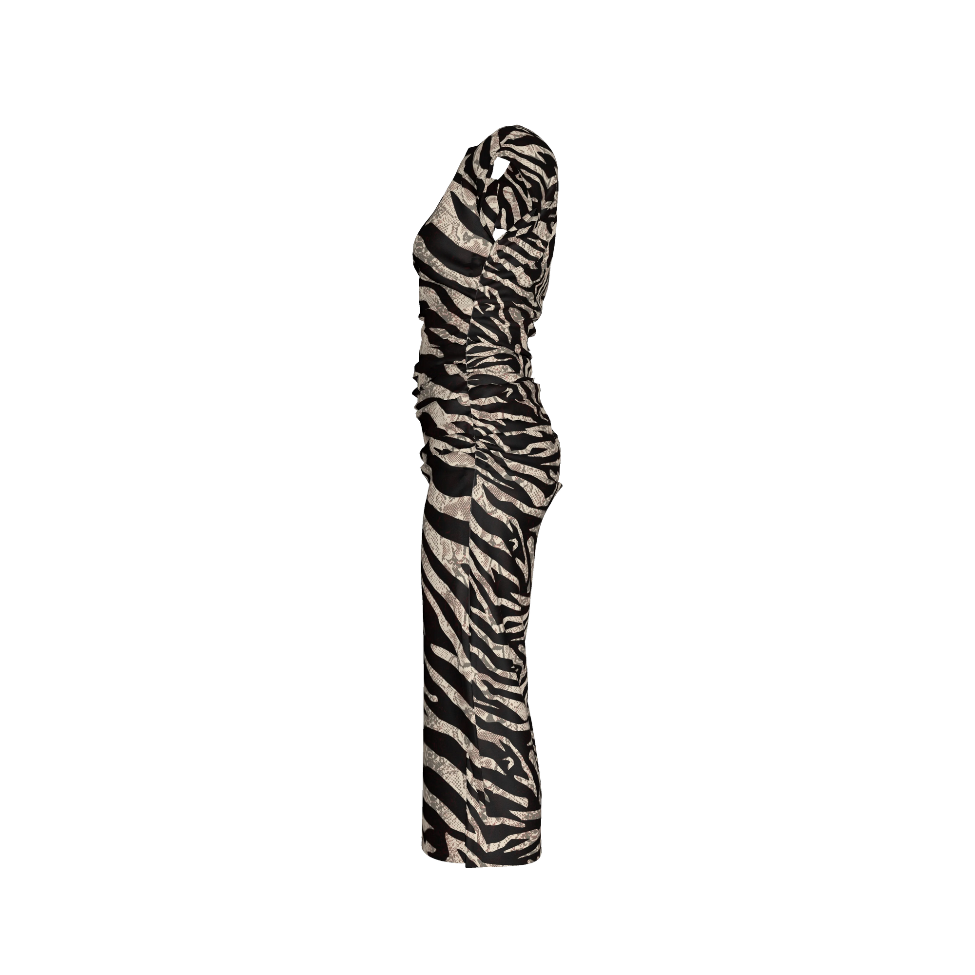 Zebra Dress 