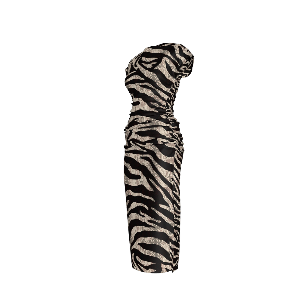 Zebra Dress 