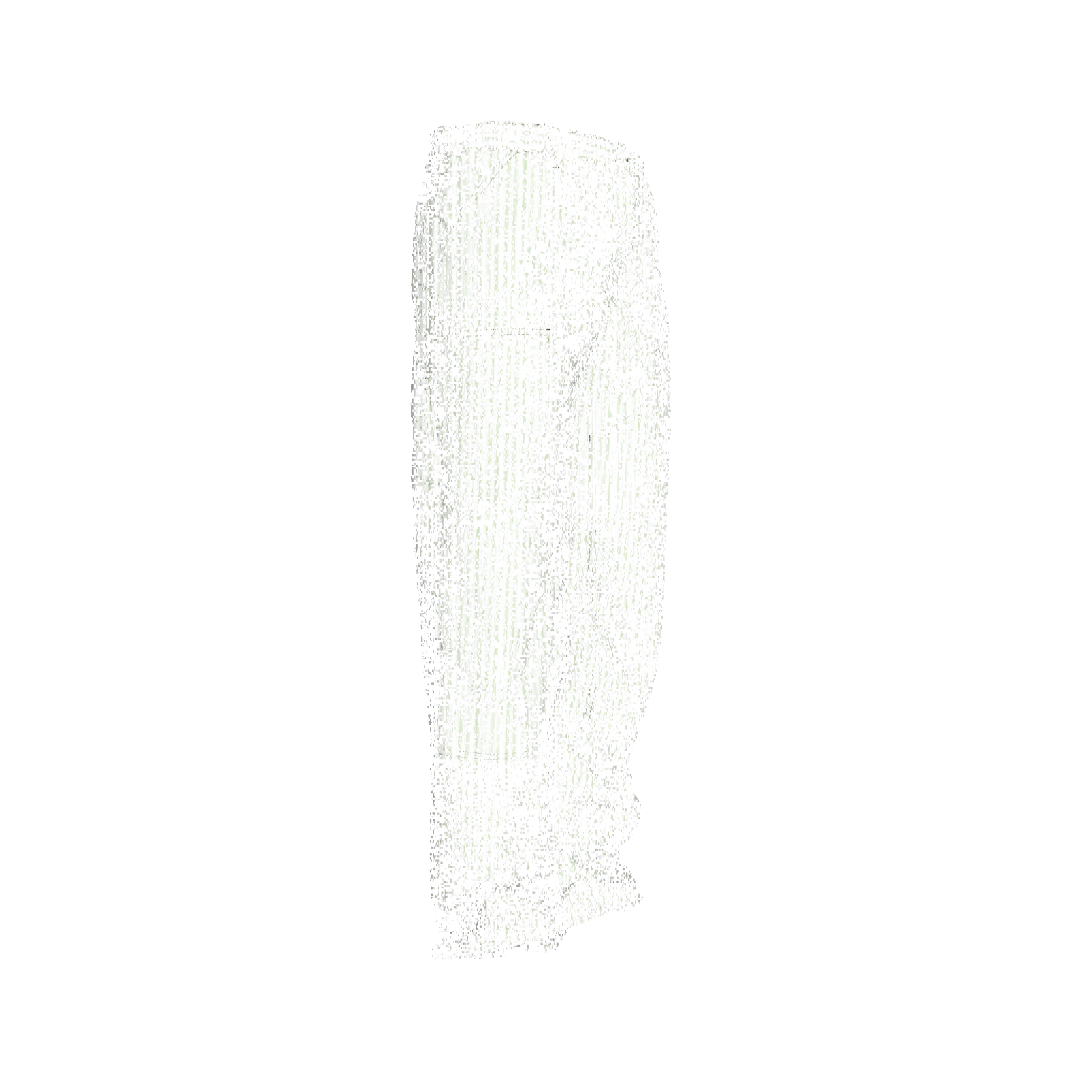 Invincible Boxy Carpenter Pant