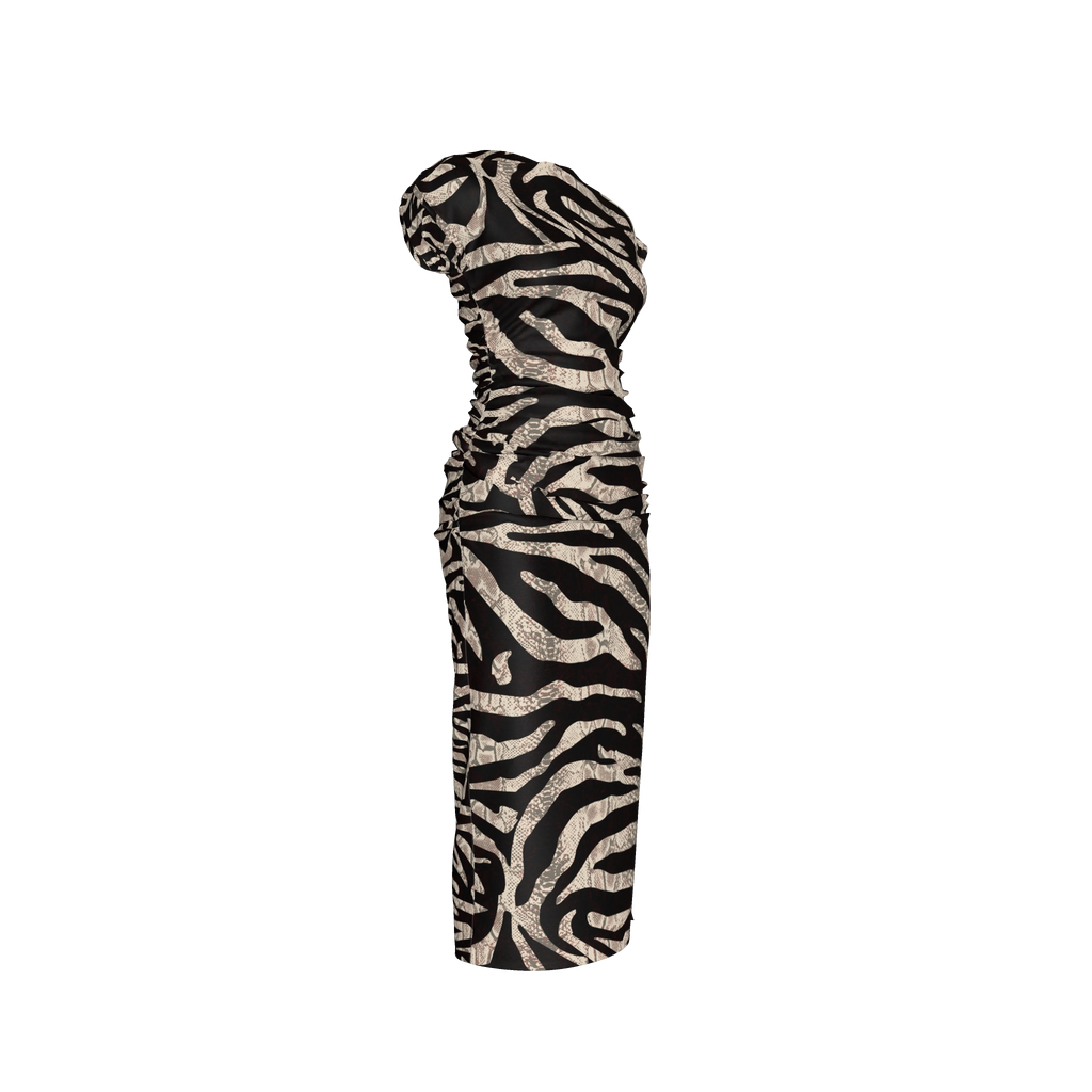 Zebra Dress 